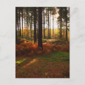 Carte Postale Bracket (Devant)