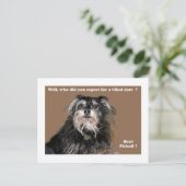 Carte Postale bradpitbull (Debout devant)