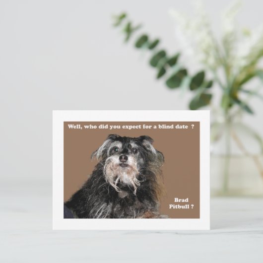 Carte Postale bradpitbull (Debout devant)