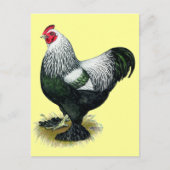 Carte Postale Brahma : Coq foncé (Devant)