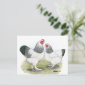 Carte Postale Brahma : Lumière2 (Debout devant)