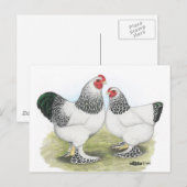 Carte Postale Brahma : Lumière2 (Devant / Derrière)