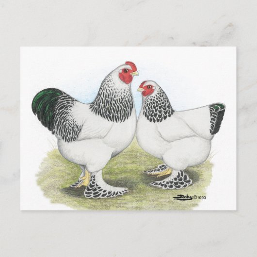 Carte Postale Brahma : Lumière2 (Devant)