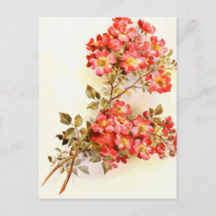 Carte Postale Branch with rose flowers custom