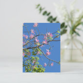 Carte Postale Branche avec fleurs (Debout devant)