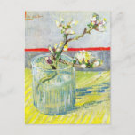 Carte Postale Branche d'amande en fleurs par Vincent van Gogh<br><div class="desc">Fleur d'amande dans un verre de Vincent van Gogh est un post impressionnisme d'art vintage de peinture florale à vie morte avec des branches d'amandiers de printemps fleurissant dans un vase en verre. À propos de l'artiste : Vincent Willem van Gogh (1853-1890) fut l'un des peintres postimpressionnistes les plus célèbres...</div>