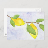 Carte Postale Branche d'arbre avec citrons et Feuilles en aquare (Devant / Derrière)