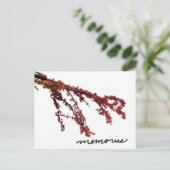 Carte Postale Branche d'arbre rouge avec souvenirs (Debout devant)