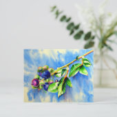 Carte Postale Branche de bleuet, aquarelle (Debout devant)