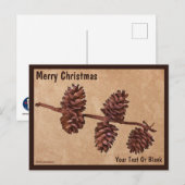 Carte Postale Branche de cône de pin sur vieux papier (Devant / Derrière)