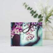 Carte Postale Branche de fleurs de cerisier (Debout devant)