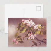 Carte Postale Branche de fleurs de cerisier (Devant / Derrière)