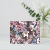 Carte Postale Branche de fleurs roses Printemps Floral (Debout devant)