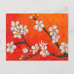 Carte Postale Branche de floraison blanche au printemps