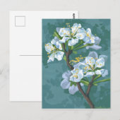 Carte Postale Branche de floraison du pommier (Devant / Derrière)