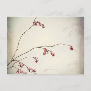Carte Postale Branche de l'arbre du prune avec les boues de prin