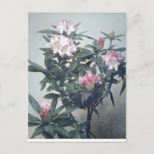 Carte Postale Branche de rhododendron fleuri vintage Henri Latou