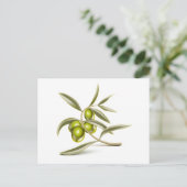 Carte Postale Branche des olives vertes (Debout devant)