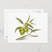Carte Postale Branche des olives vertes (Devant / Derrière)