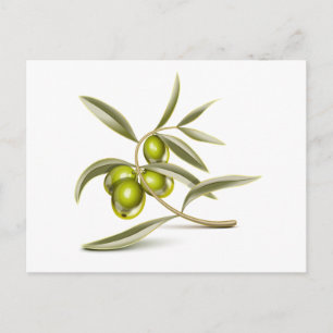 Carte Postale Branche des olives vertes