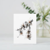 Carte Postale Branche des pins, Sumi-e (Debout devant)