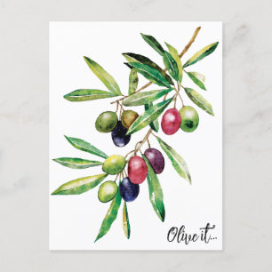 Carte Postale Branche d'olive aquarelle