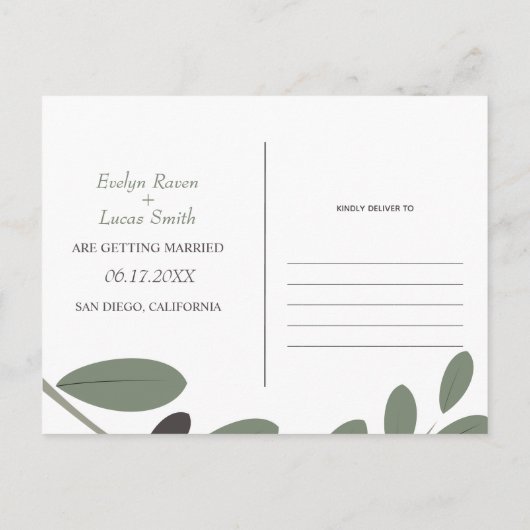 Carte Postale Branche d'olive méditerranéenne photo Save the Dat (Dos)