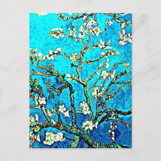 Carte Postale Branches avec fleurs d'amandier (Devant)