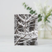 Carte Postale Branches couvertes de neige (Debout devant)