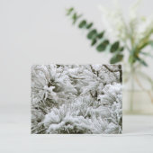 Carte Postale Branches couvertes de neige (Debout devant)
