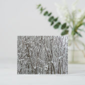 Carte Postale Branches couvertes de neige Abstraite hivernale (Debout devant)