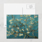 Carte Postale Branches d'amandes en fleurs (Devant / Derrière)