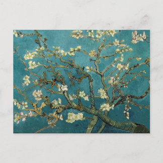 Carte Postale Branches d'amandes en fleurs