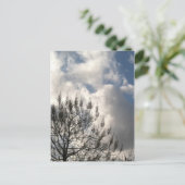 Carte Postale Branches dans les nuages (Debout devant)