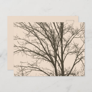Carte Postale Branches d'arbre Brown à la crème rustique