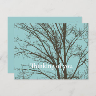 Carte Postale Branches d'arbre Brown bleu rustique