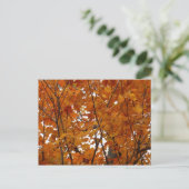 Carte Postale Branches de feuilles d'érable I Automne orange (Debout devant)