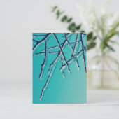 Carte Postale branches de glace (Debout devant)