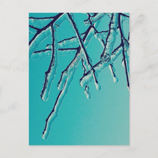 Carte Postale branches de glace (Devant)