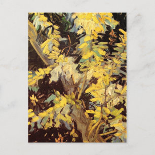 Carte Postale Branches de l'acacia en floraison, Vincent van Gog