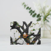 Carte Postale Branches de l'arbre d'automne (Debout devant)