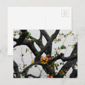 Carte Postale Branches de l'arbre d'automne (Devant / Derrière)