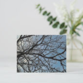 Carte Postale Branches de l'arbre d'icy (Debout devant)