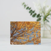 Carte Postale Branches de Maple Feuilles II Orange Automne (Debout devant)