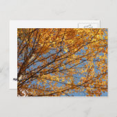 Carte Postale Branches de Maple Feuilles II Orange Automne (Devant / Derrière)