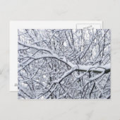 Carte Postale Branches de neige (Devant / Derrière)