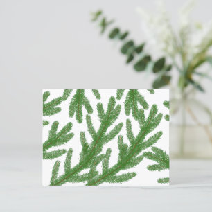 Carte Postale branches de sapin de Noël