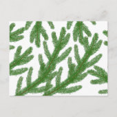 Carte Postale branches de sapin de Noël (Devant)