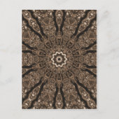 Carte Postale Branches d'hiver (Devant)