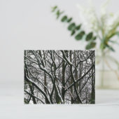 Carte Postale Branches d'hiver (Debout devant)